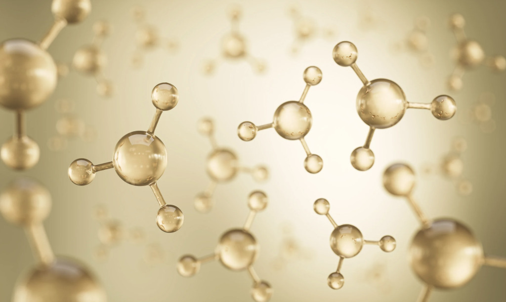 Polynucleotides Skin Boosters