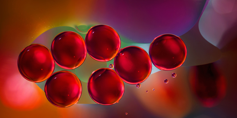 Factors that affect biotin production and absorption